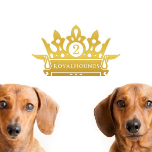 https://www.dachshundrescue.com.au/wp-content/uploads/2022/03/2RoyalHounds-Logo-300.jpg
