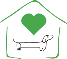 Dachshund-Rescue-Australia-Rehome-Your-Dachshund-Surrender