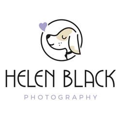 https://www.dachshundrescue.com.au/wp-content/uploads/2022/03/Helen-Black-Photography.jpg