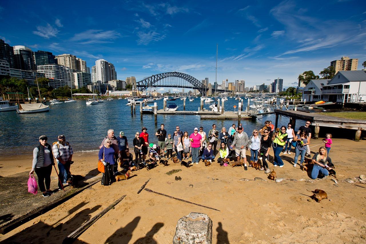 Sydney-Dachshund-Meetup