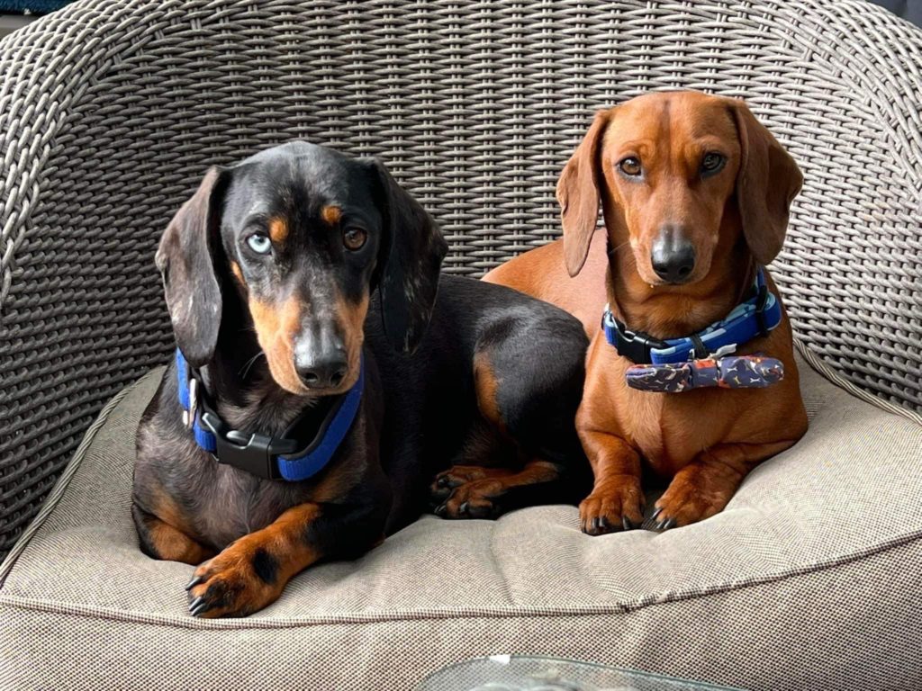 Jason and Hendrix