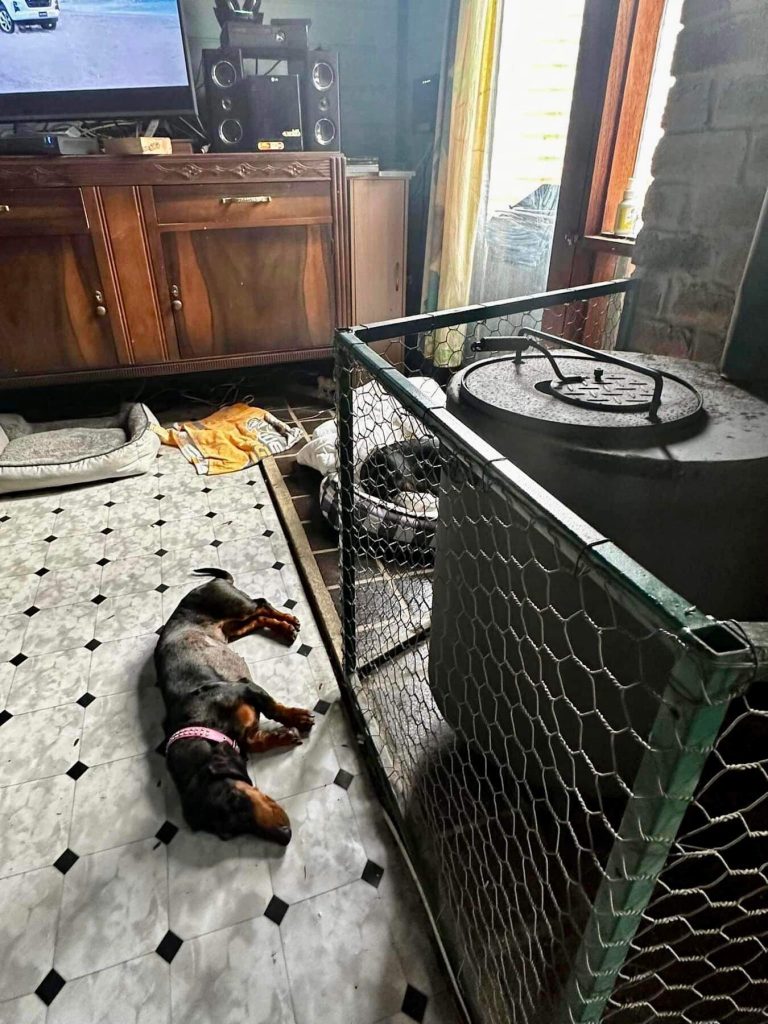 stella heater