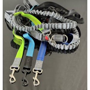Active Bungee Dog Leash