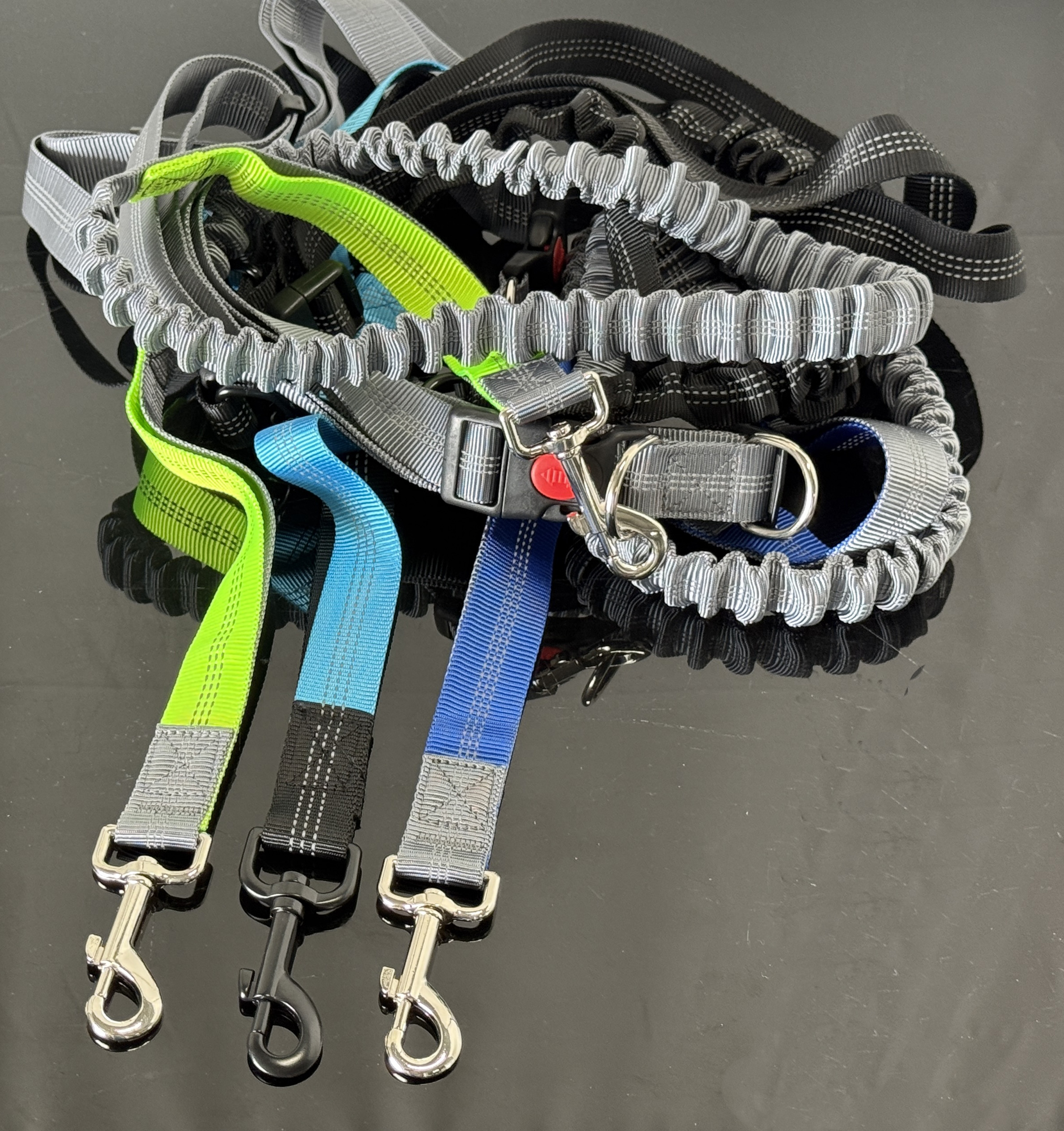 Active Bungee Dog Leash