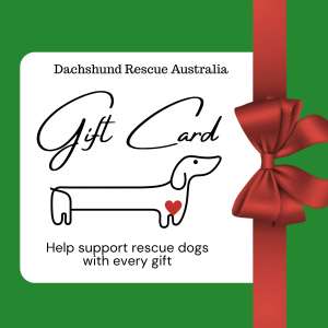 Dachshund Rescue Gift Card