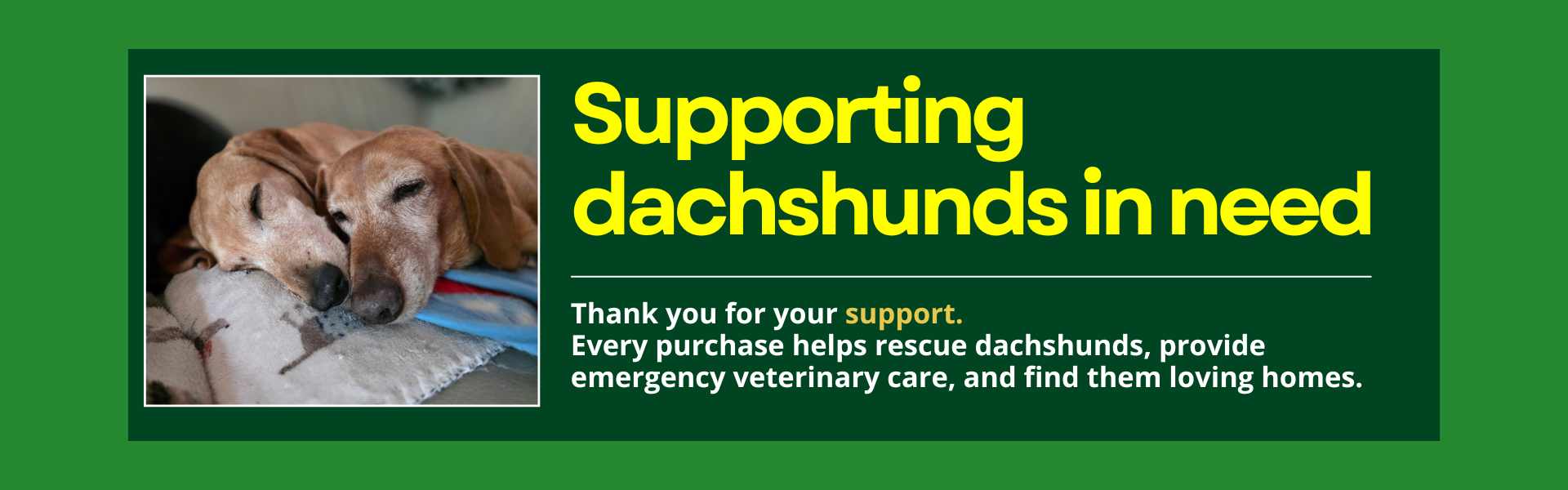 dra-shop-banner-desktop