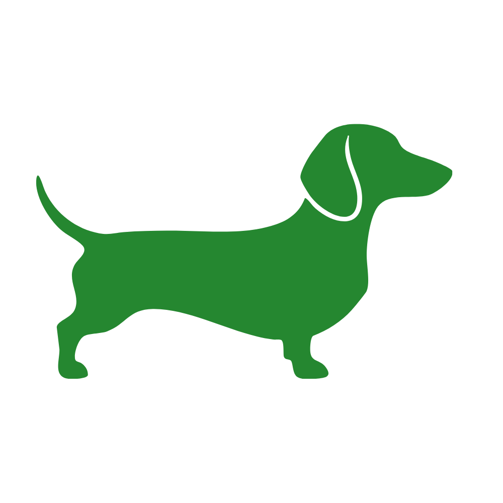 WDD Dachshund
